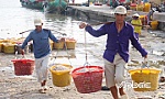 Về Gò Công để 