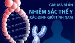 Giải mã bí ẩn nhiễm sắc thể Y xác định giới tính nam