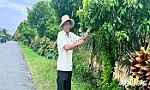 Người đảng viên luôn hoàn thành xuất sắc nhiệm vụ