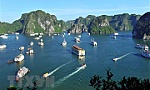Chín Di sản Văn hóa và Thiên nhiên Thế giới tại Việt Nam