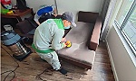Dịch vụ giặt sofa tại nhà TP. Hồ Chí Minh giá rẻ tiện lợi