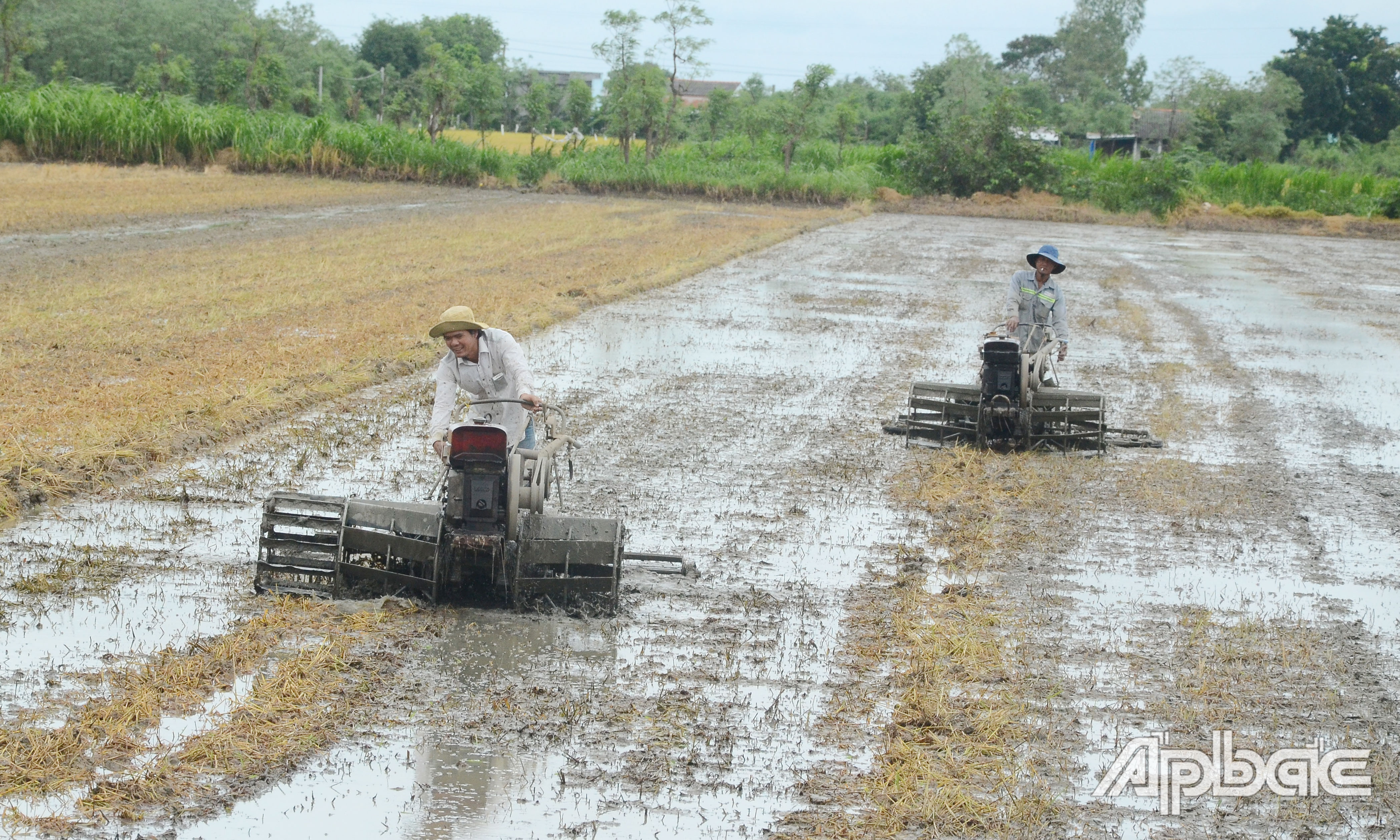 Máy cày xới đất để gieo sạ vụ lúa thu đông tại xã Bình Tân, huyện Gò Công Tây.