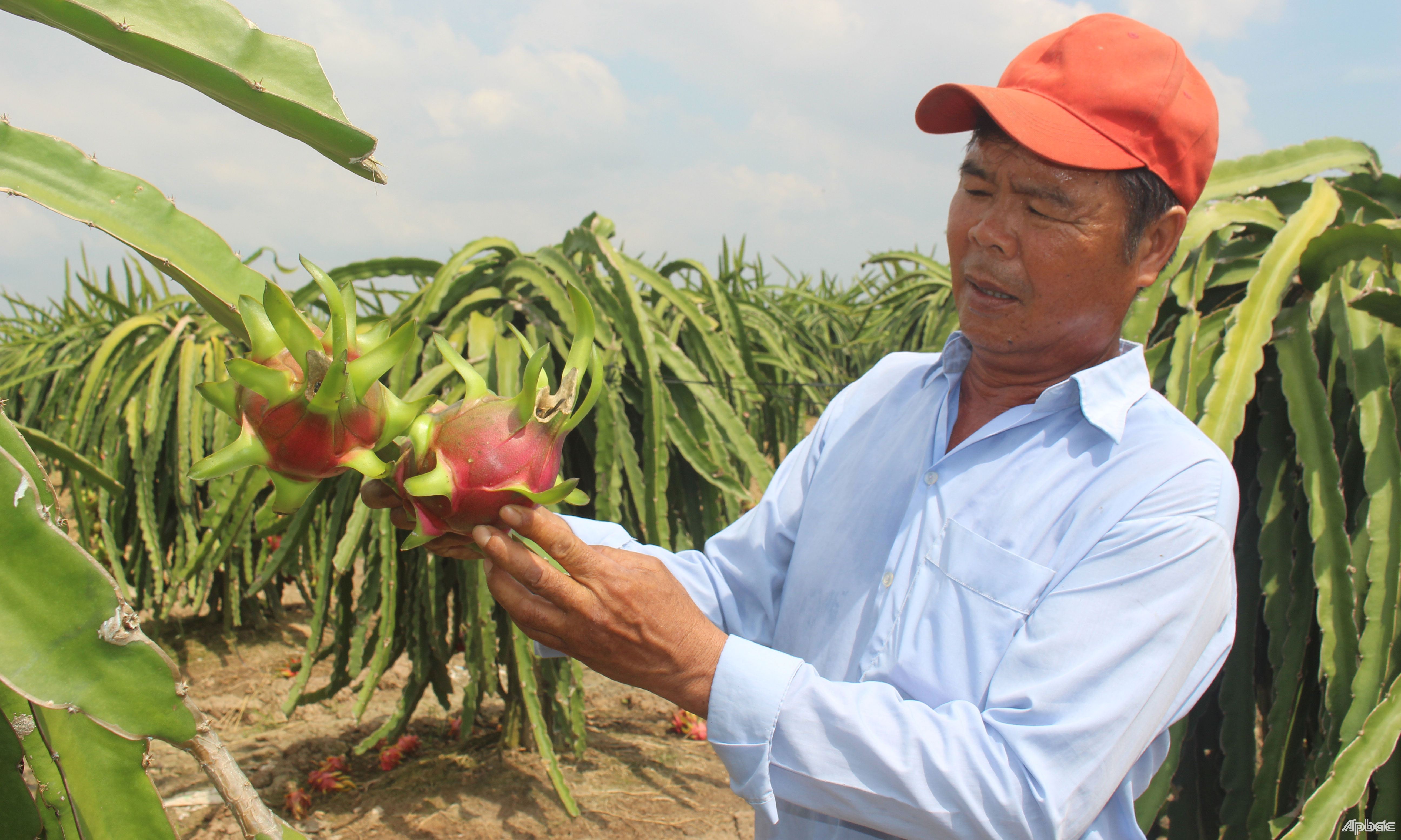 Chuyển đổi cây trồng mang lại hiệu quả kinh tế, góp phần thực hiện mục tiêu giảm nghèo bền vững.