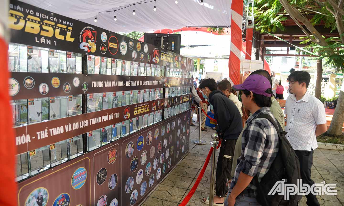 Nhiều người dân đến tham quan cá cảnh được trưng bày tại Giải đấu.