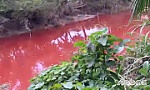 Dòng kinh bị chuyển màu 