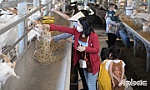Châu Thành quyết tâm ra mắt huyện nông thôn mới
