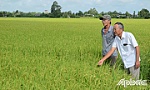 Chú trọng nâng cao chất lượng nông sản