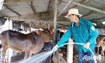 2 cựu chiến binh làm kinh tế giỏi, gương mẫu trong công tác Hội