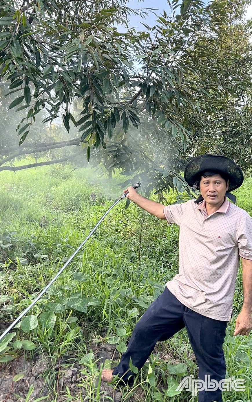 Anh Sơn chăm sóc vườn sầu riêng của gia đình.