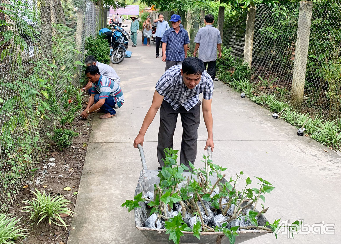 Cán bộ, hội viên Cựu chiến binh huyện tham gia trồng 1.800 cây hoa.