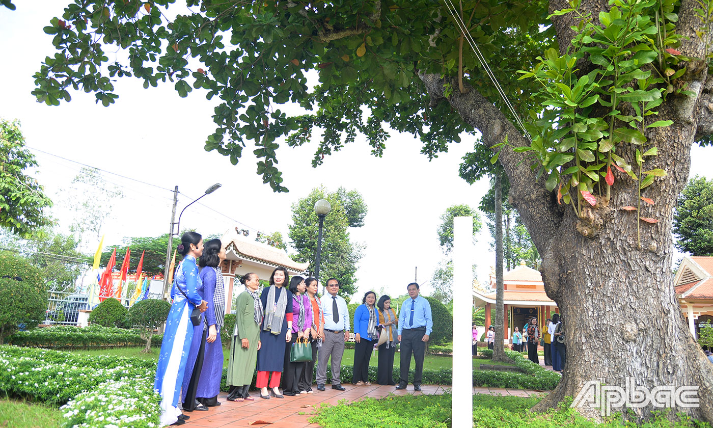 Cây bàng cổ thụ, nơi lá cờ đỏ sao vàng đầu tiên của nước ta được cắm trên đó trong những ngày nổ ra cuộc khởi nghĩa Nam kỳ.