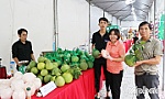 Hợp tác xã Mỹ Phong: Xây dựng chuỗi liên kết, ổn định đầu ra