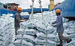 Giá xuất khẩu tăng phi mã, doanh nghiệp xuất khẩu gạo hướng đến chuỗi phát triển bền vững