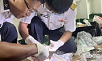 Tàu 272 thuộc Vùng 2 Hải quân cấp cứu ngư dân trên biển