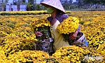 Chuyện về một phường chỉ còn 3 hộ nghèo
