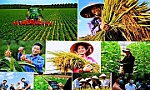 Đề cương tuyên truyền Đại hội đại biểu toàn quốc Hội Nông dân Việt Nam lần thứ VIII