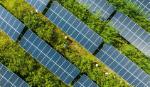 Giới chuyên gia: Trung Quốc có thể đạt đỉnh carbon trước năm 2030