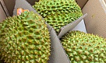 Trung Quốc rất hoan nghênh nông sản chất lượng cao của Việt Nam