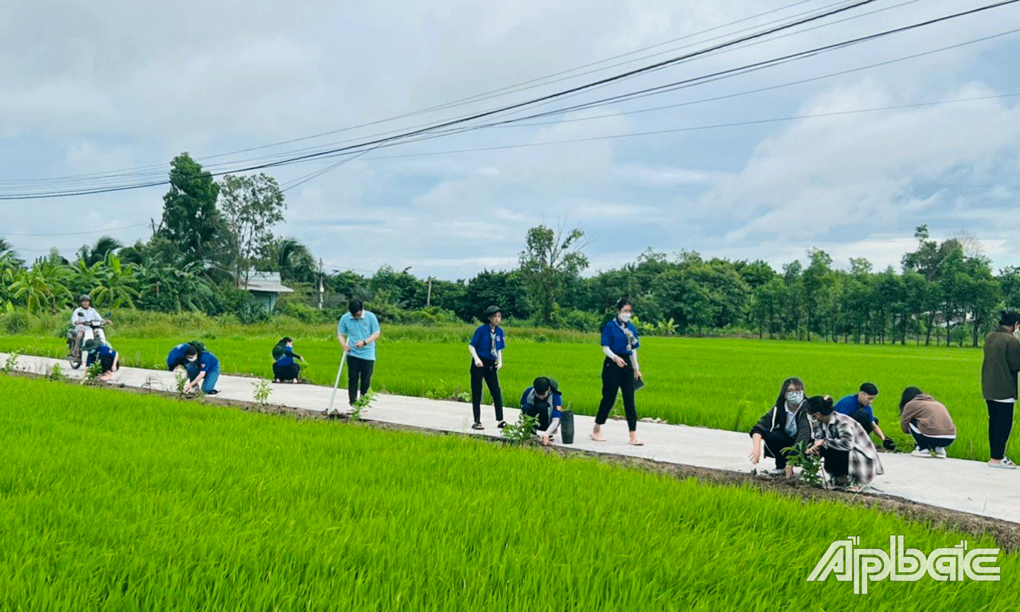 ĐVTN trồng cây dọc các tuyến đường giao thông nông thôn (Nguồn ảnh: HỒNG NHUNG).