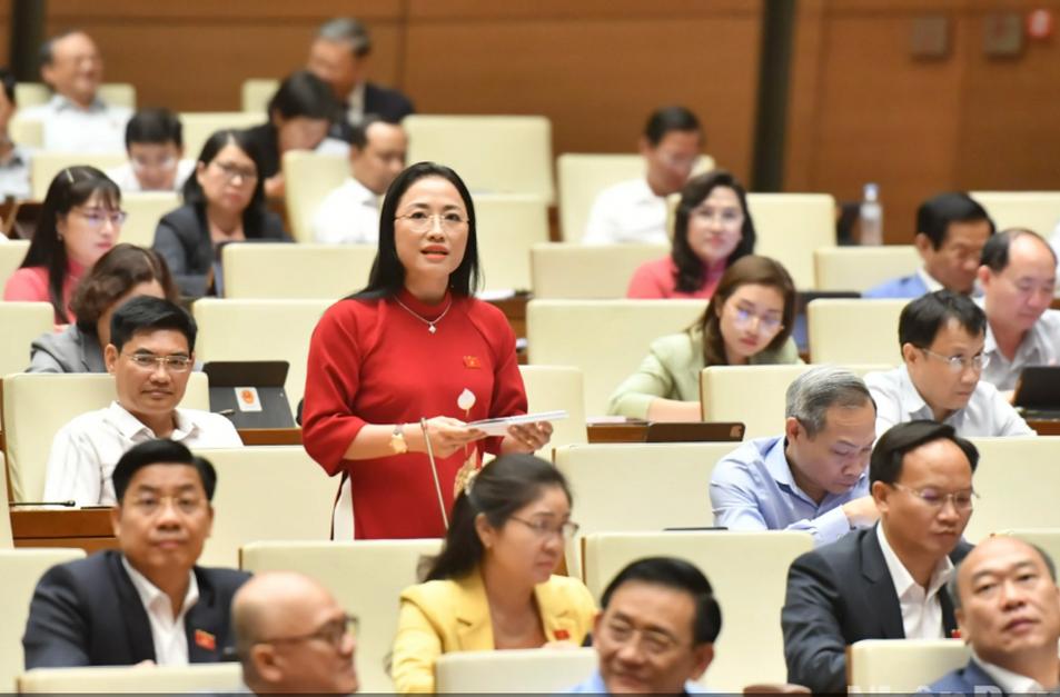 Đại biểu Trần Khánh Thu (Thái Bình) đặt câu hỏi chất vấn tại phiên họp. (Ảnh: ĐĂNG KHOA)
