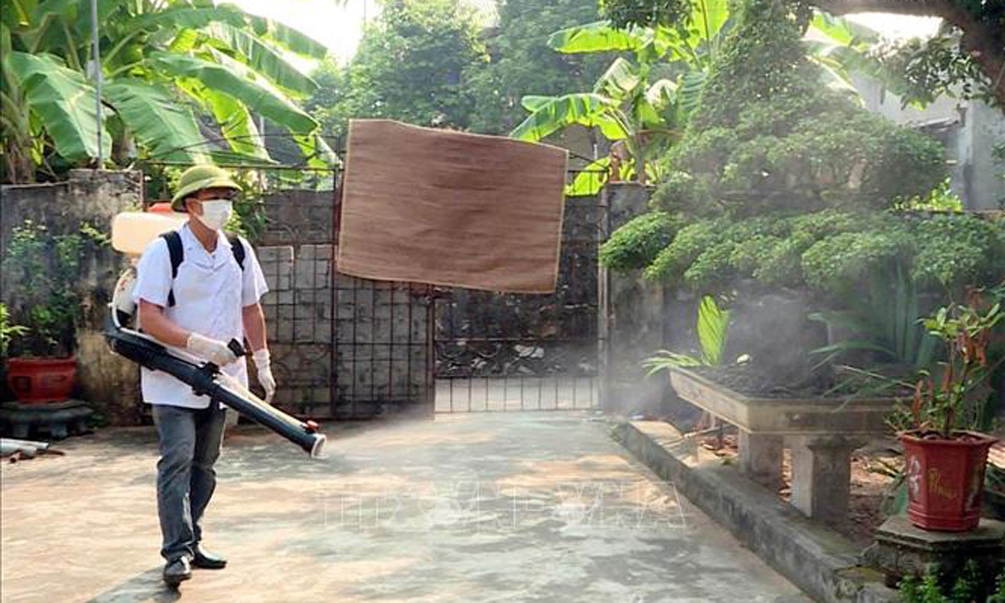 Phun thuốc diệt muỗi phòng bệnh sốt xuất huyết. Ảnh: TTXVN