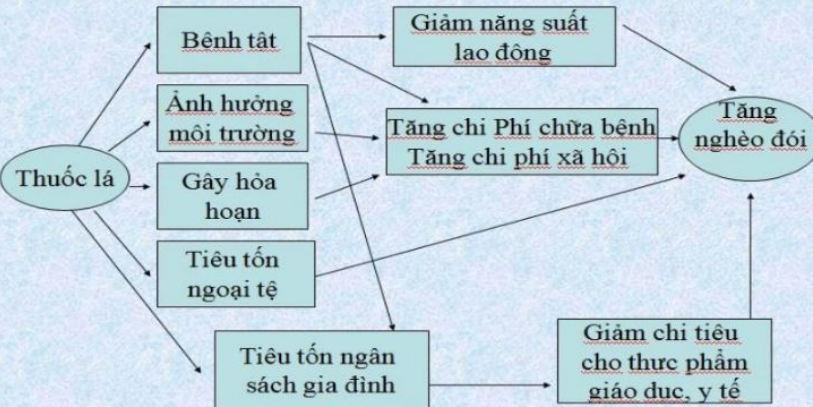 Tài liệu hướng dẫn về tác hại của thuốc lá. (Ảnh: PV/Vietnam+)