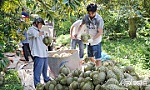 Bài 1: Xây dựng nền móng bền chặt