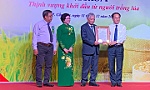 Thành lập Hiệp hội ngành hàng lúa gạo Việt Nam