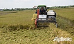 Thấy gì qua Báo cáo kinh tế thường niên ĐBSCL năm 2023?