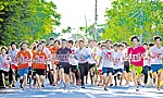 Hơn cả một giải đấu phong trào cấp tỉnh