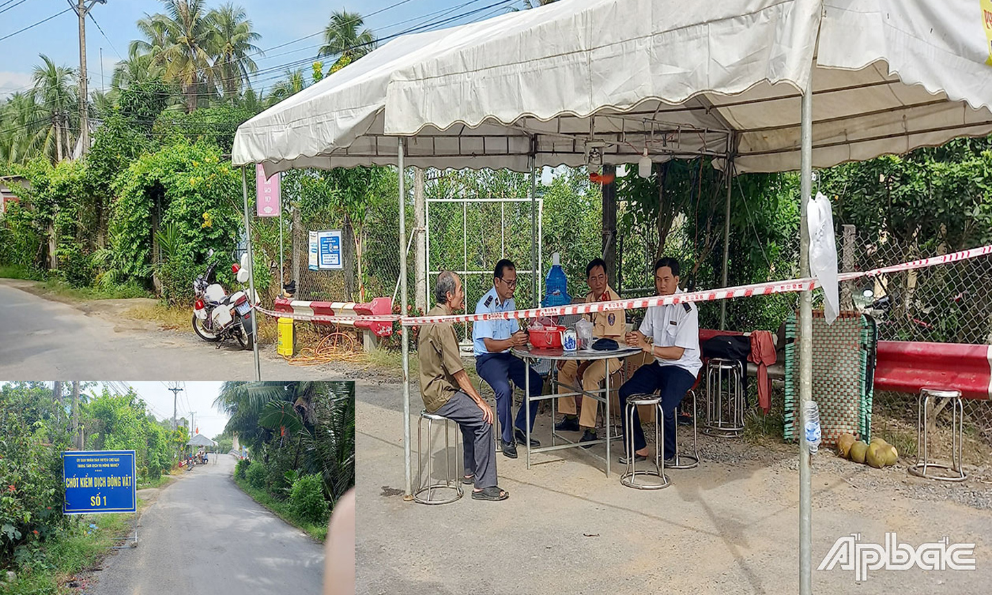 Chốt kiểm dịch