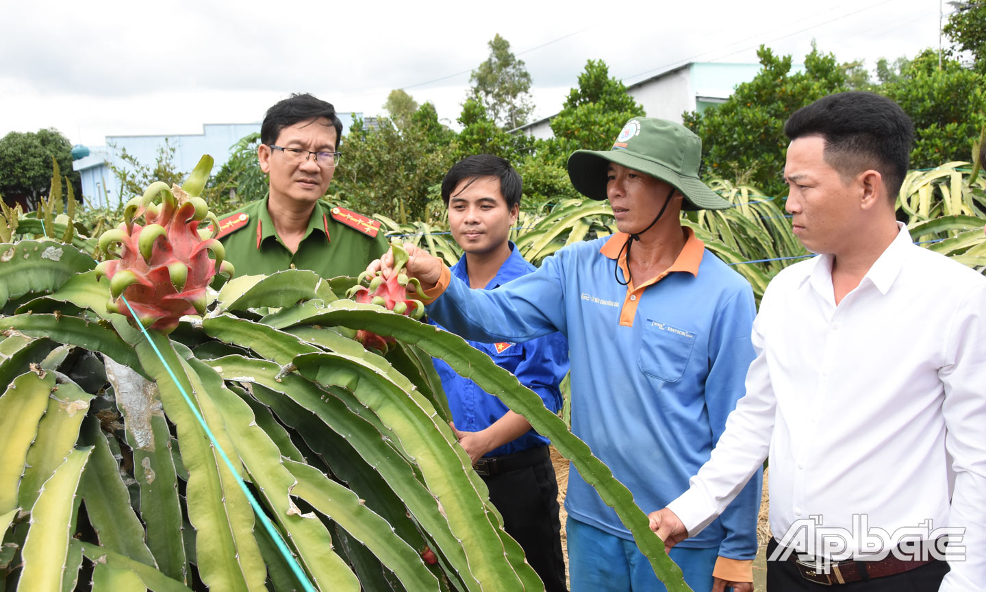 Các ban, ngành, đoàn thể đến thăm vườn thanh long của vợ chồng anh Sơn. Ảnh: Lê Hoài.
