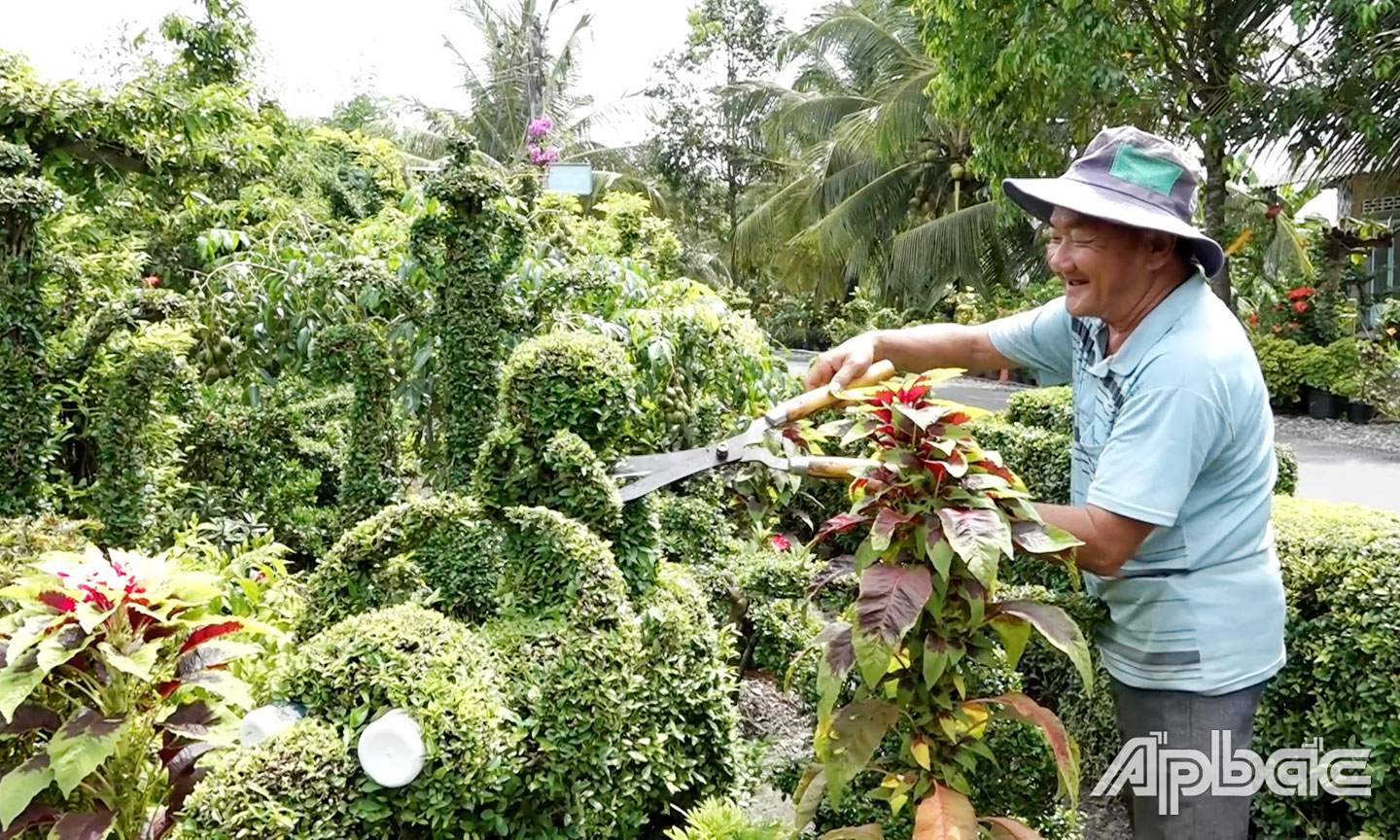 Nhiều hàng rào, sân kiểng được các hộ dân đầu tư công phu để tham gia Hội thi.                               Ảnh: PV