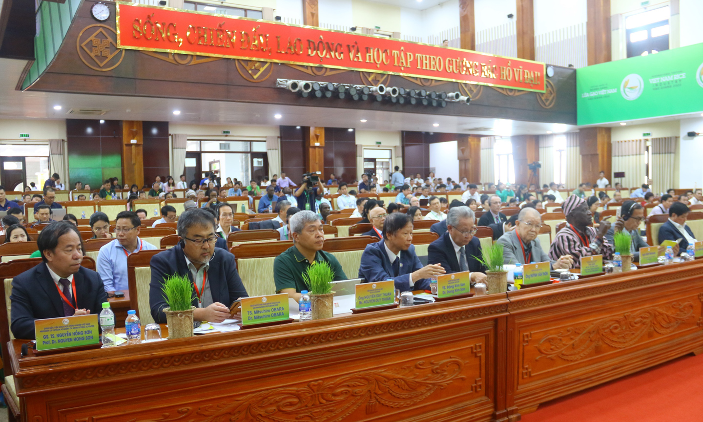 Đông đảo đại biểu trong nước và quốc tế tham dự hội thảo.
