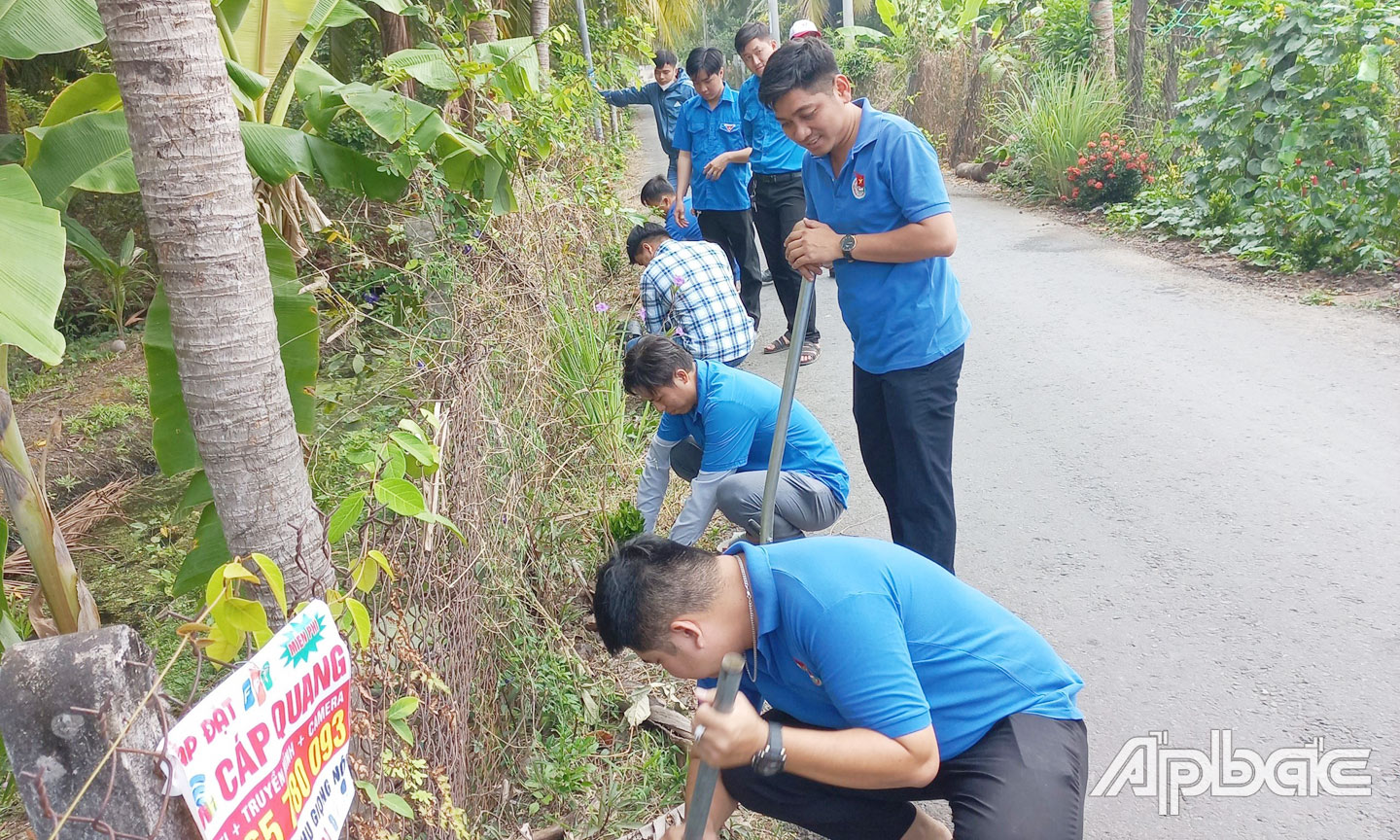 Đoàn viên xã Bình Đức tham gia trồng cây xanh, tạo cảnh quan  cho tuyến đường giao thông nông thôn.