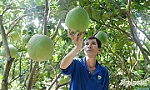 Huyện Châu Thành: Tập trung tiêu chí Tổ chức sản xuất trong xây dựng nông thôn mới