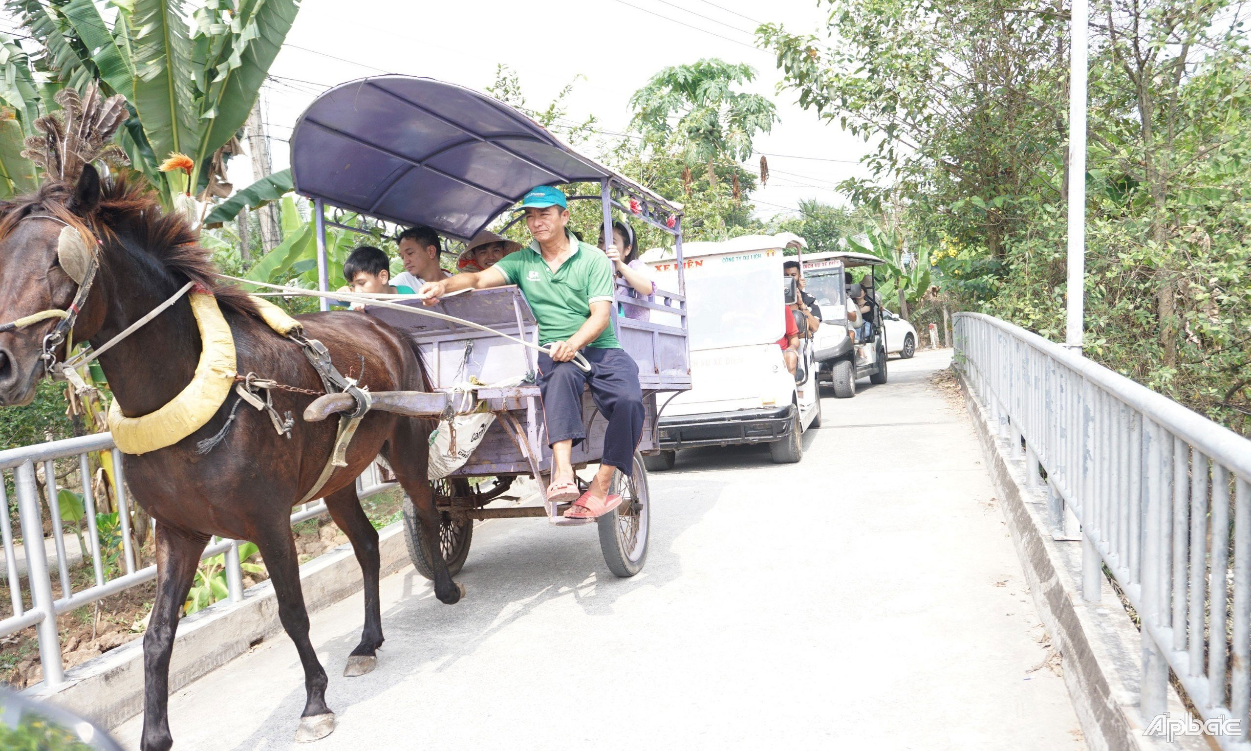  Khách du lịch tham quan cù lao Thới Sơn, TP. Mỹ Tho. Ảnh: NGỌC AN