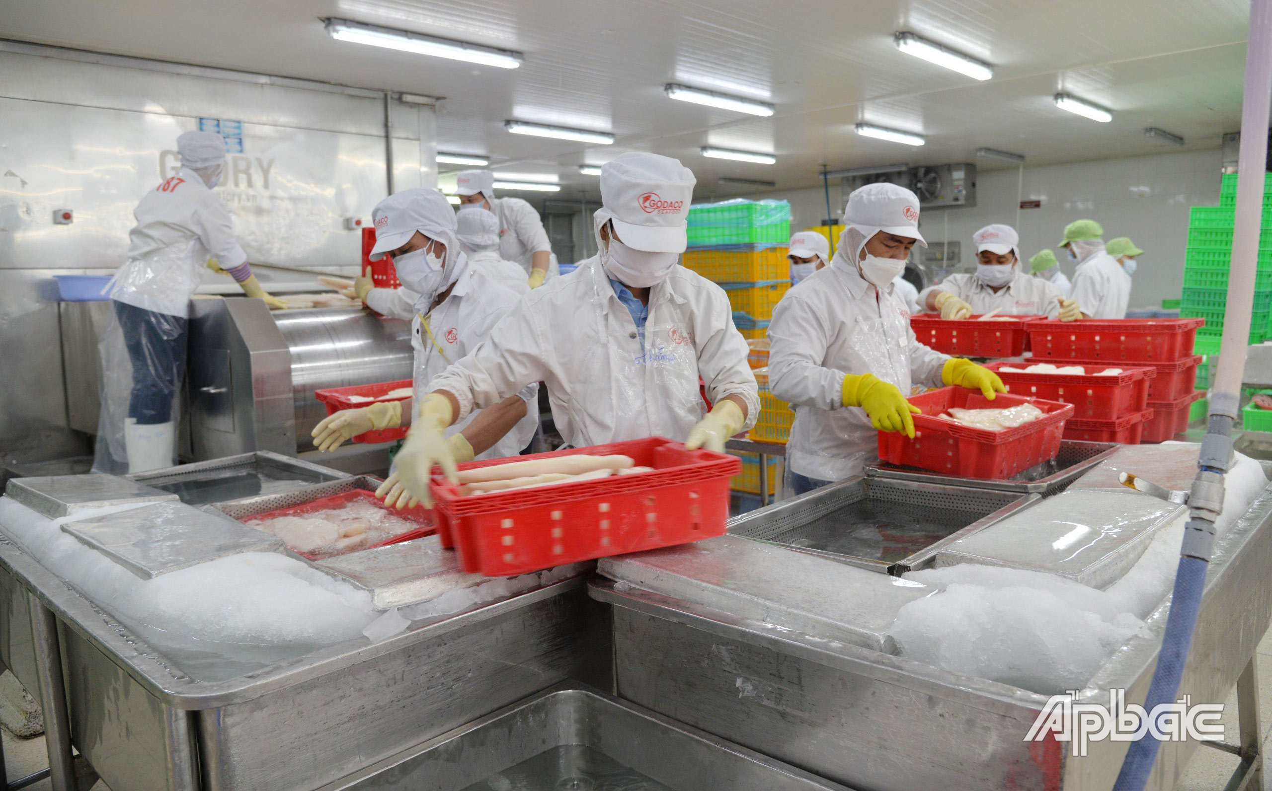 Dây chuyền chế biến thủy sản xuất khẩu của Công ty GODACO (Khu công nghiệp Mỹ Tho).