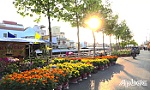 Xuân về trên huyện nông thôn mới