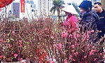 Thời tiết dịp Tết Nguyên đán Giáp Thìn: Bắc Bộ có mưa, Nam Bộ nắng nóng