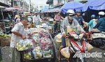Chợ trái cây Thạnh Trị nhộn nhịp những ngày cận tết