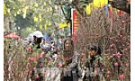 Để người dân đón Tết vui tươi, an toàn!
