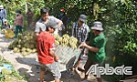 Giá sầu riêng chạm mốc 200 ngàn đồng/kg