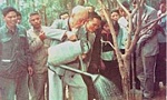 Bác Hồ với 