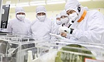 Việt Nam sẽ trở thành mắt xích quan trọng trong chuỗi giá trị bán dẫn toàn cầu