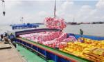 Dự báo giá lúa gạo sẽ sớm tăng trở lại do nhu cầu còn cao