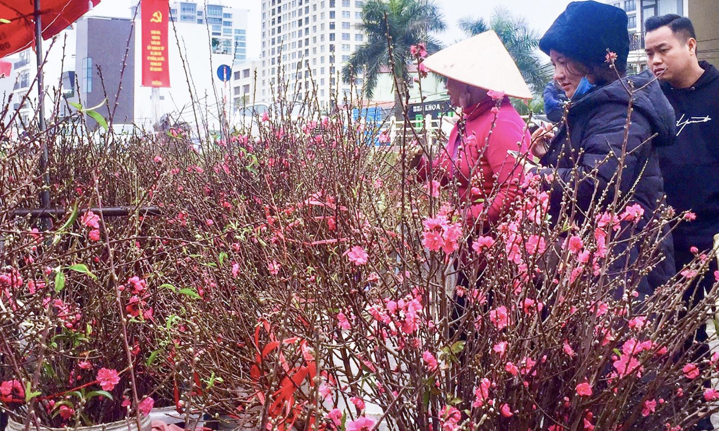 Tại Bắc Bộ, từ đêm 5-7/2 (từ đêm 26-28 tháng Chạp) đêm và sáng có mưa nhỏ, mưa phùn và sương mù, trời rét. Ảnh minh họa: BNEWS/TTXVN