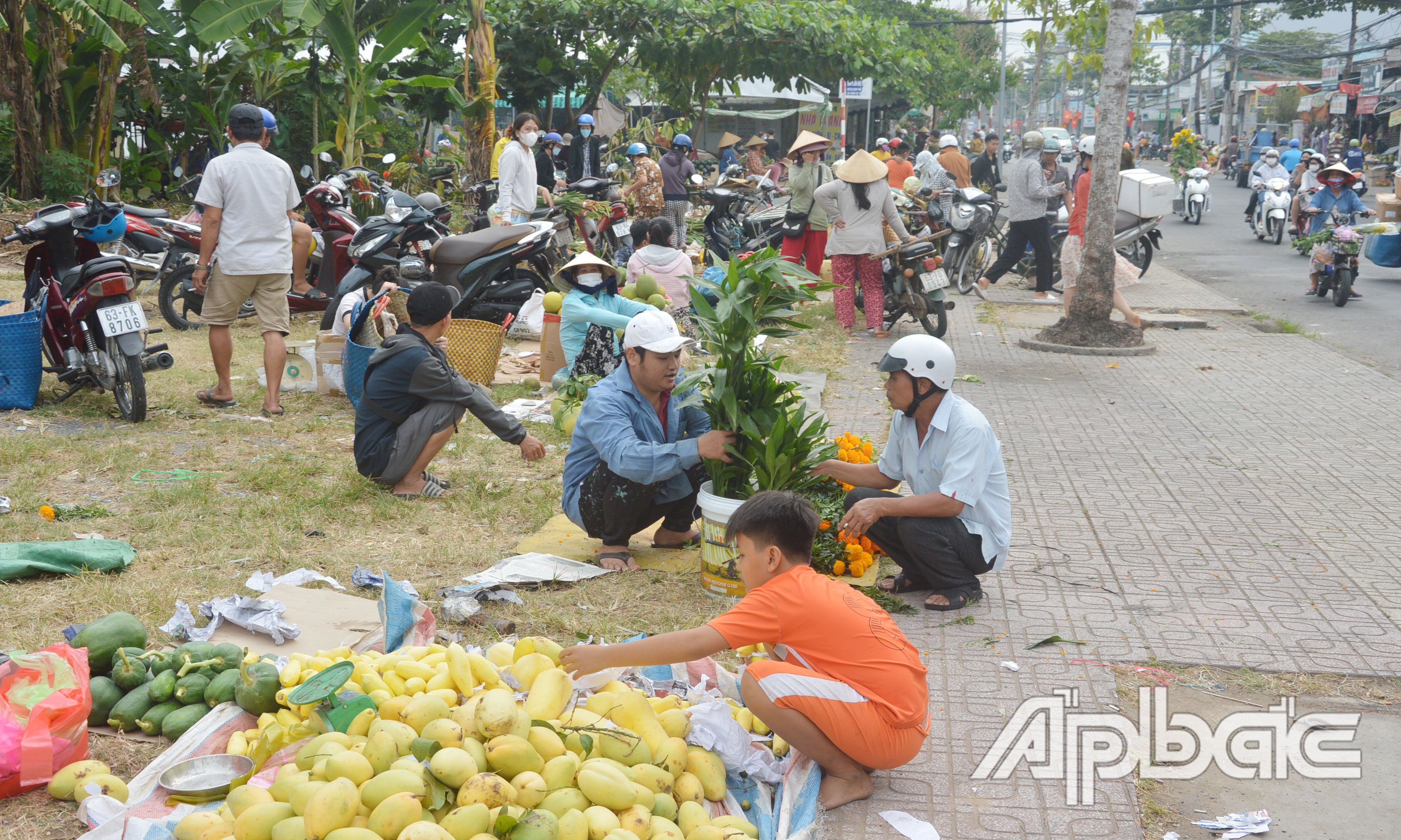 Trái cây chưng tết được bày bán dồi dào, phong phú.