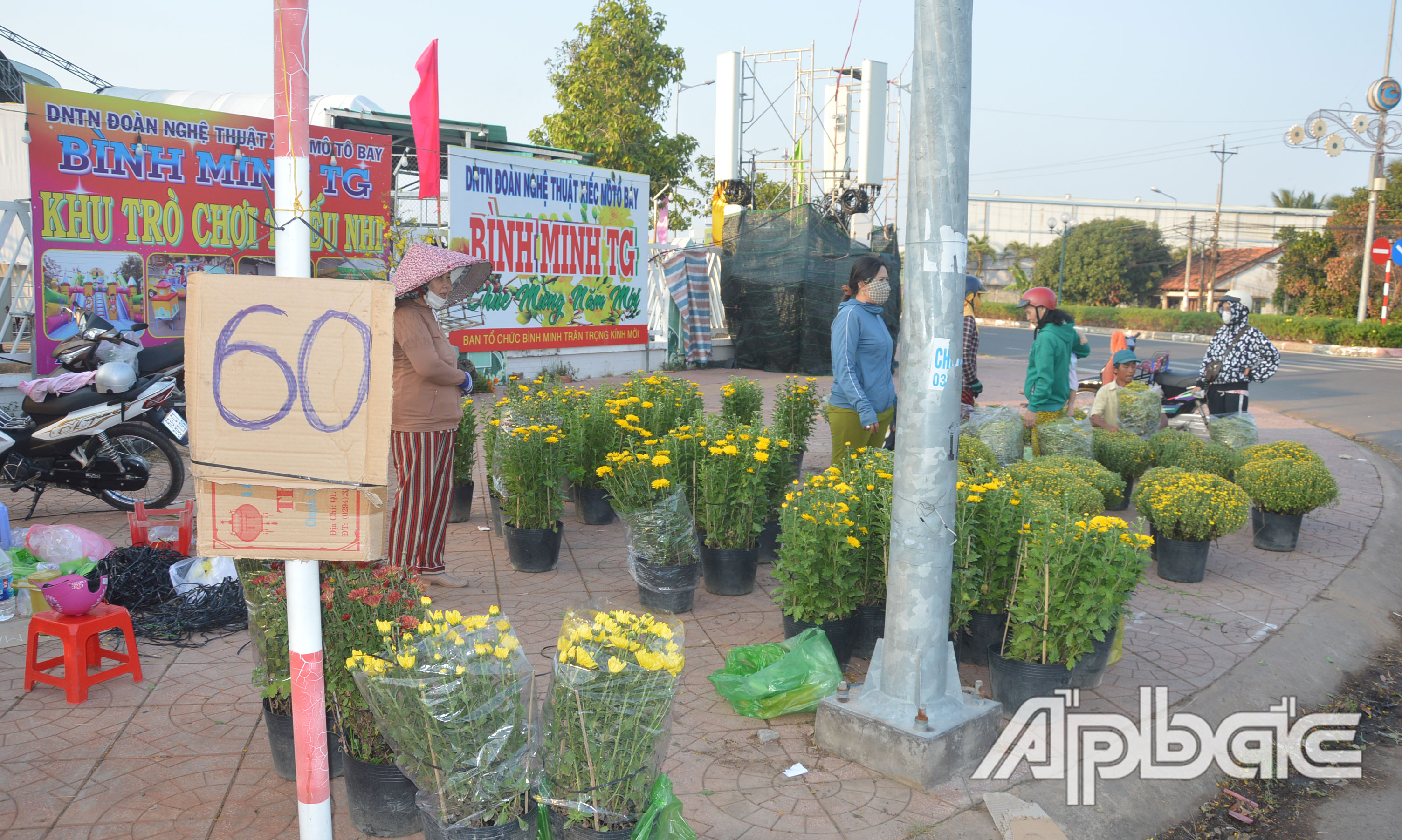 Hoa tết đồng giá 60.000 đồng/ cặp.