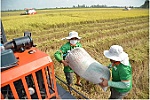 Không để xảy ra tình trạng nông dân bị ép giá lúa